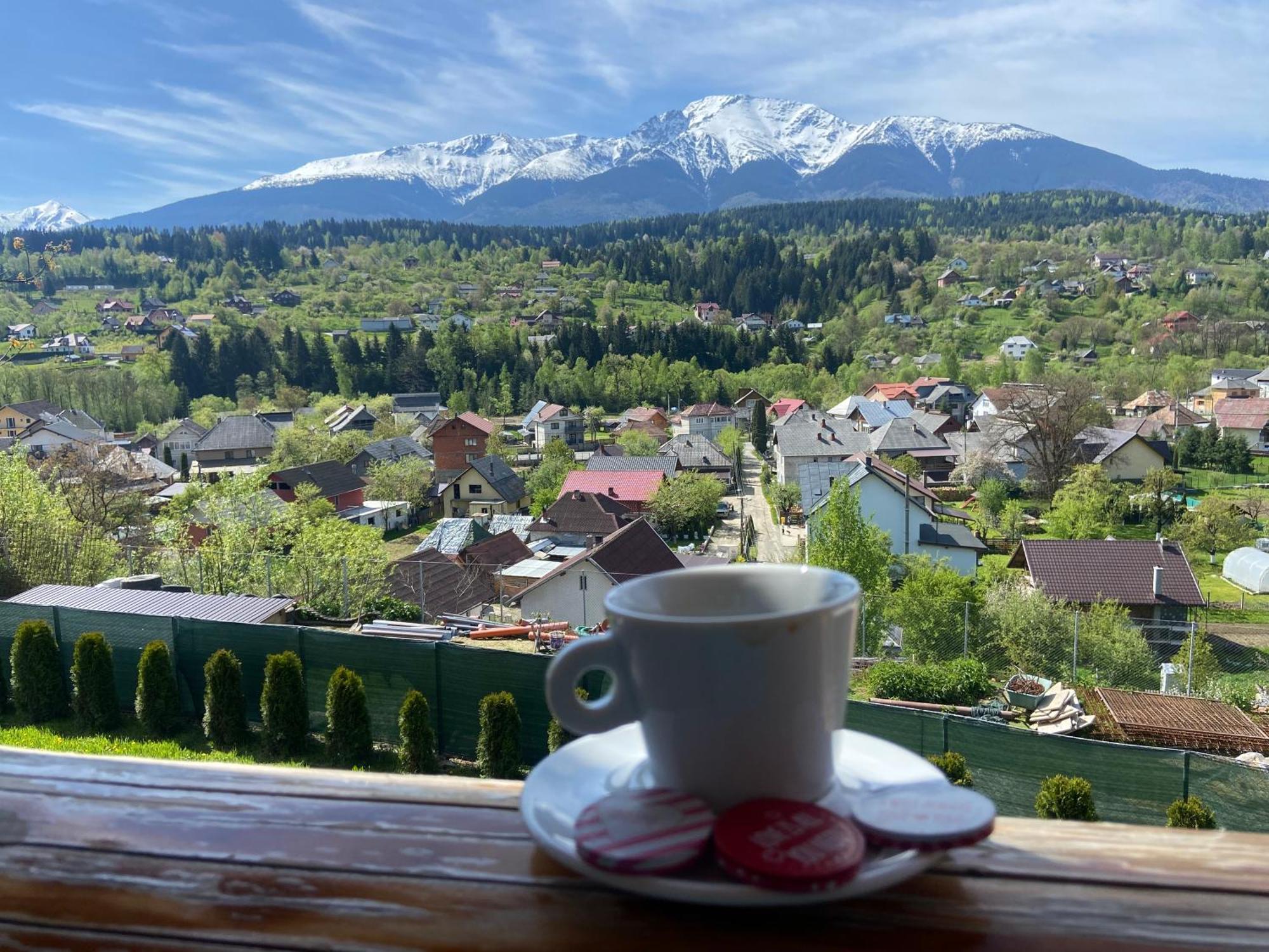 Cabana 9 Борша Экстерьер фото